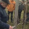  Ważne cięcia, czyli wiosenne porządki