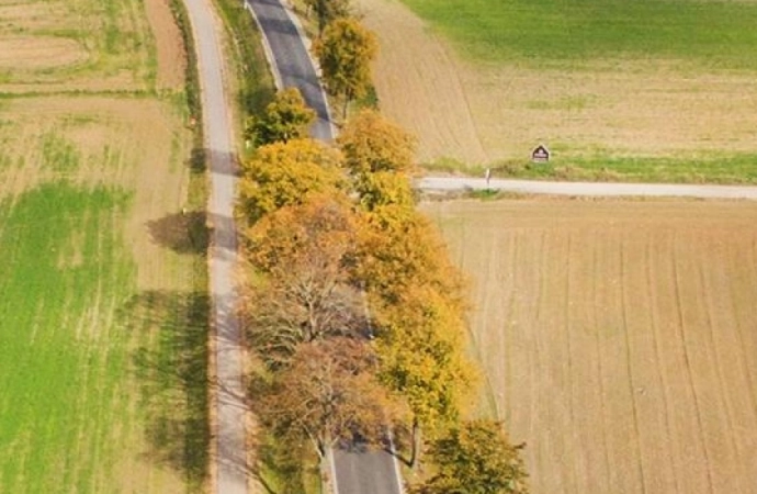 {Coraz mniej czasu na odnowienie certyfikatów Miejsc Przyjaznych Rowerzystom.}